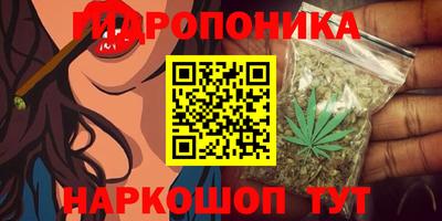 винт Канаш