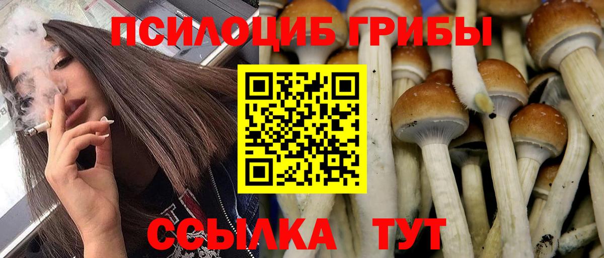 Галлюциногенные грибы прущие грибы Клин