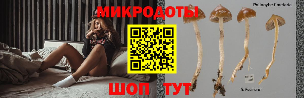 Галлюциногенные грибы ЛСД  Вход с VPN  Клин  Псилоцибиновые грибы Psilocybe 
